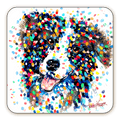 Load image into Gallery viewer, Border Collie Coaster