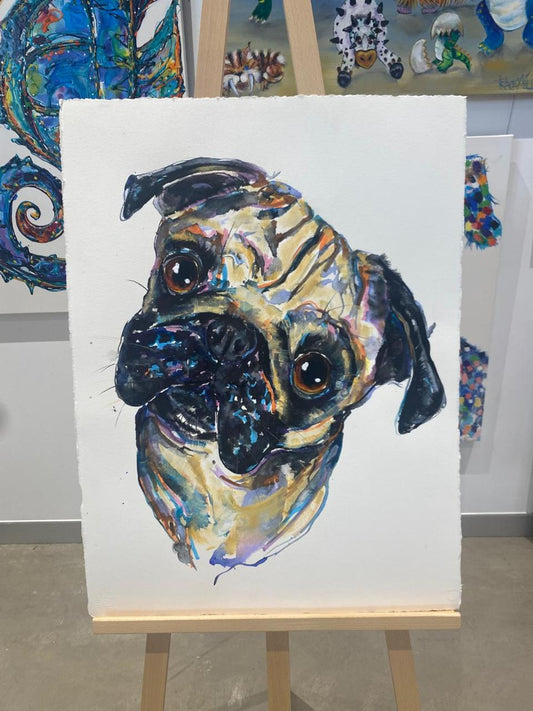 Pug