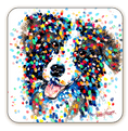 Load image into Gallery viewer, Border Collie Coaster
