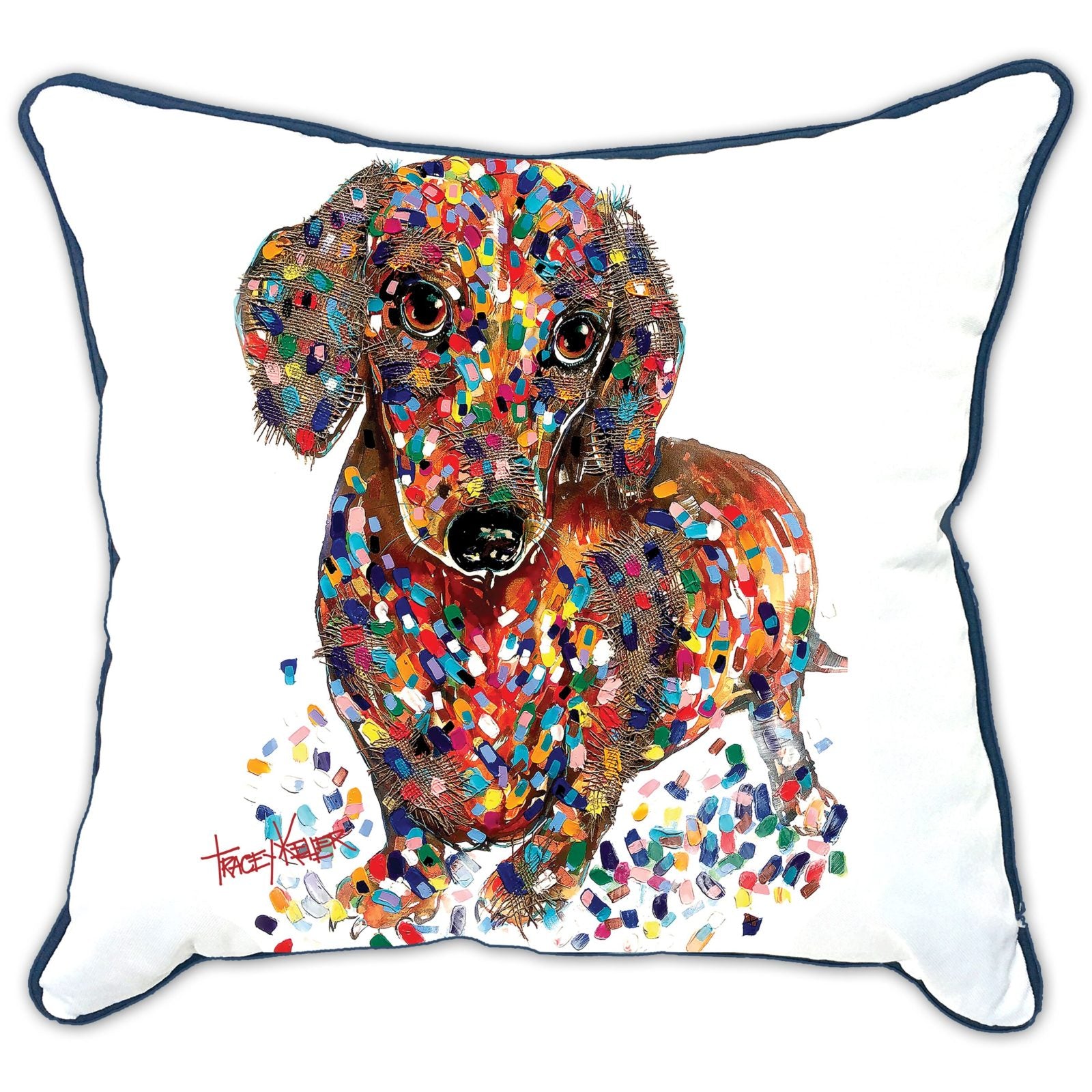 Dash Indoor/Outdoor Cushion Cover