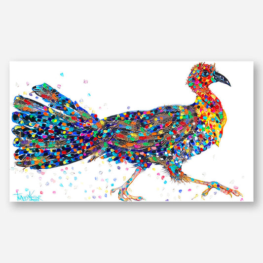 Gobble | Bush Turkey Original Painting