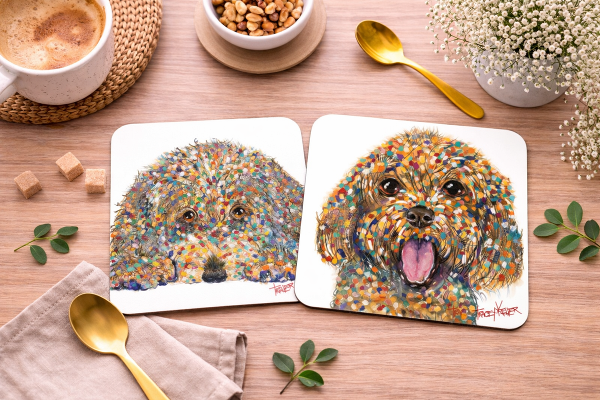 Oodle Coaster