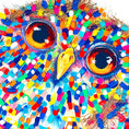 Load image into Gallery viewer, Solo Owl Hand Finished Limited Edition
