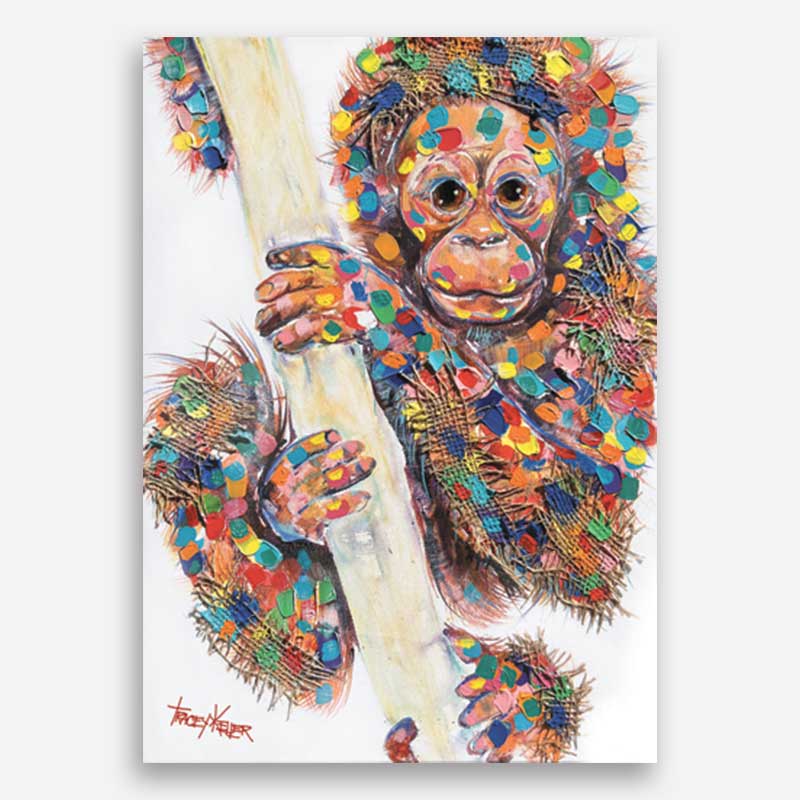 Baby Orangutan Canvas Print