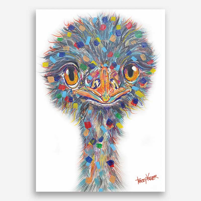 Emu Stare Canvas Print