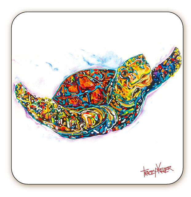 Turtle Coaster