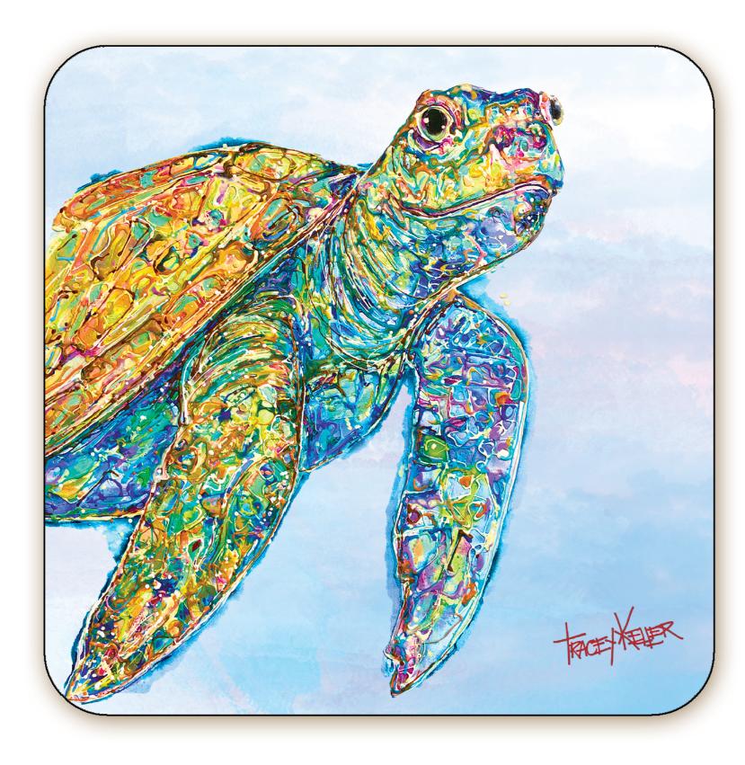 Turtlely Awesome | Turtle Coaster