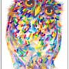 Solo Owl Card