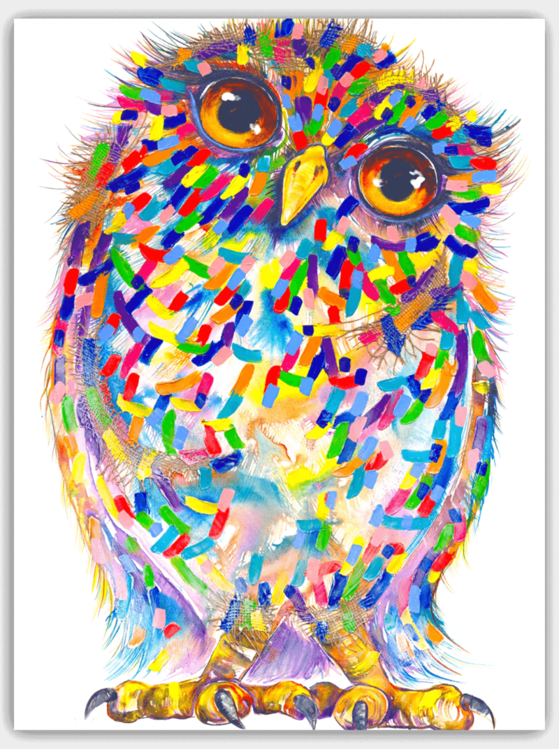 Solo Owl Card