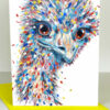 emu card 1
