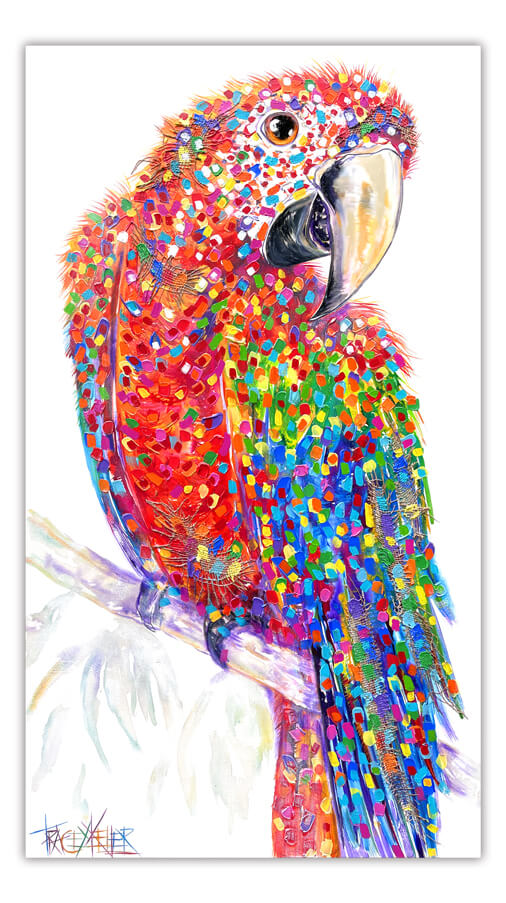 Coco | Macaw Painting