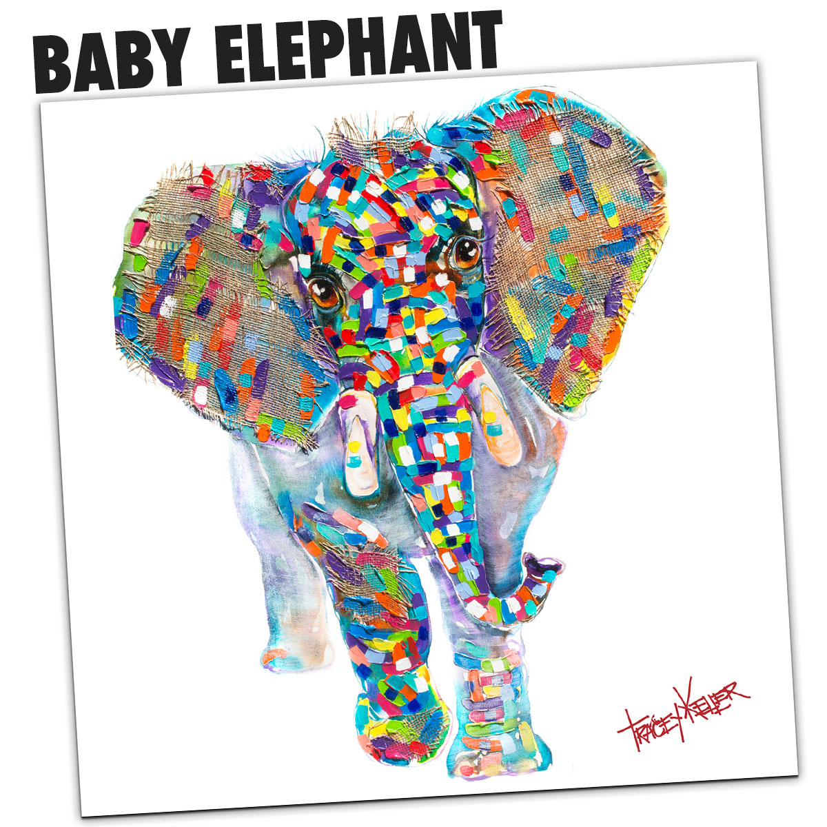 BABY ELEPHANT 2