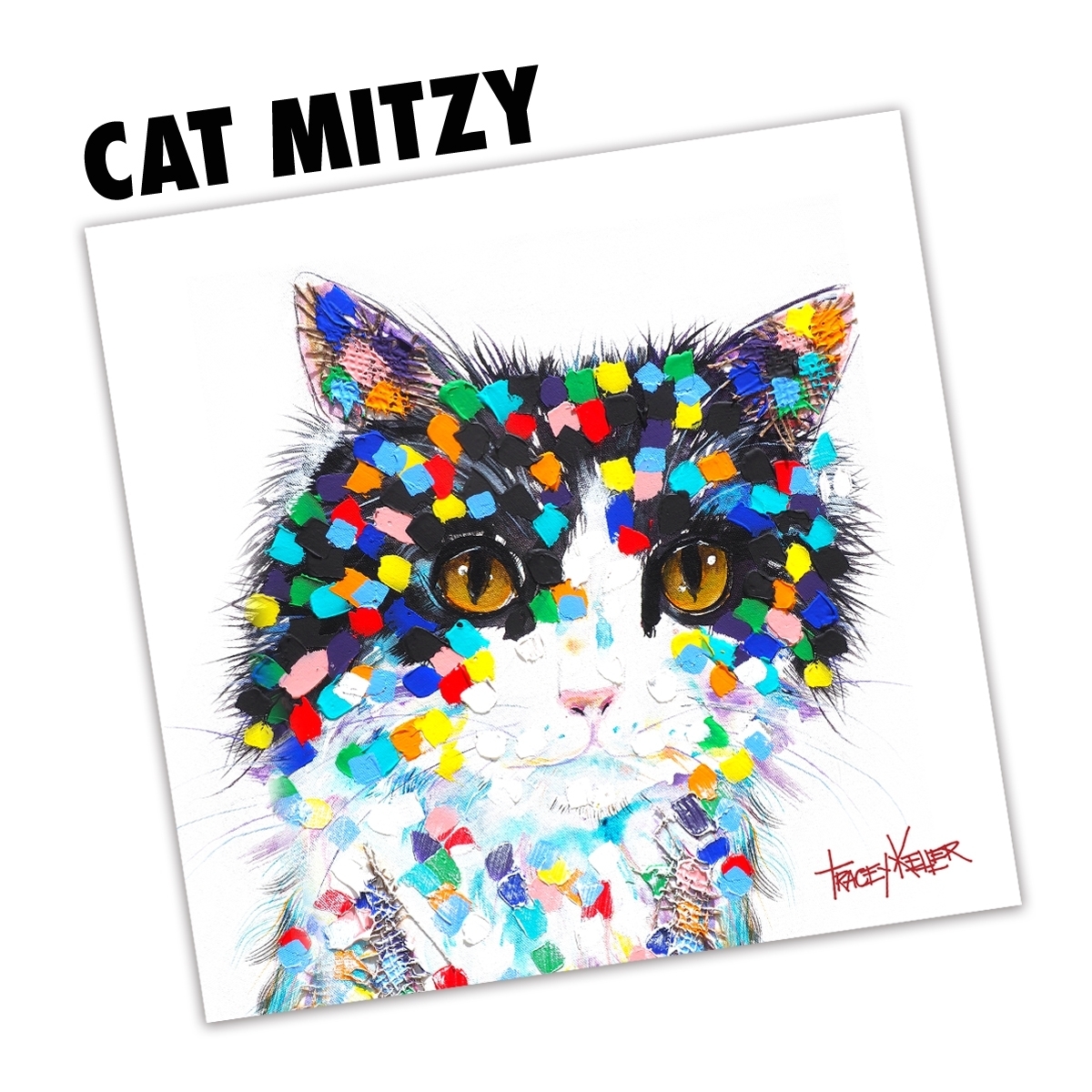 Cat Mitzy