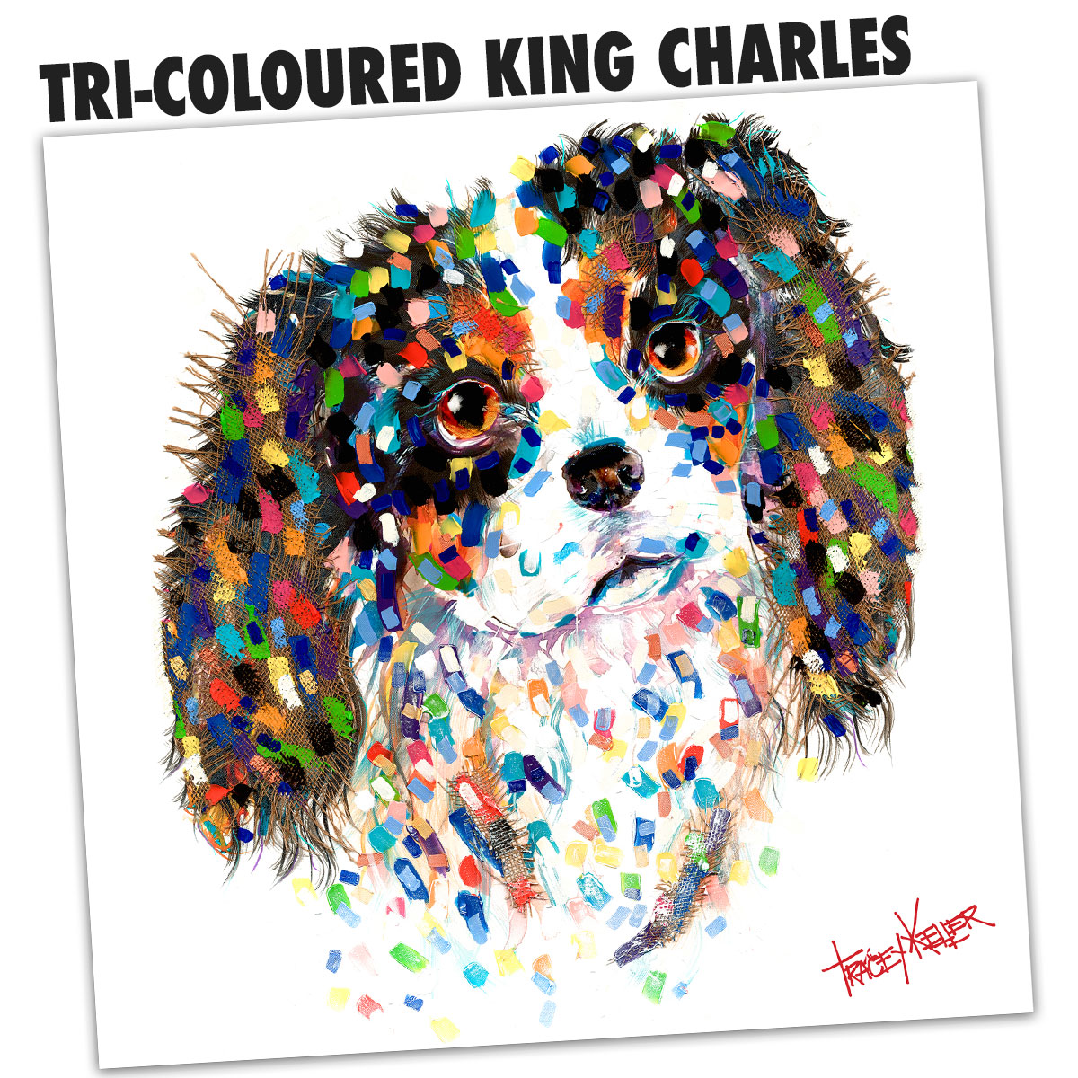 KING CHARLES TRICOLOURED