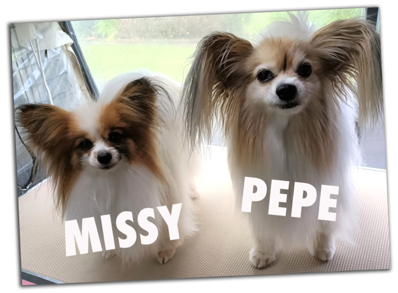 Missy and Pepe