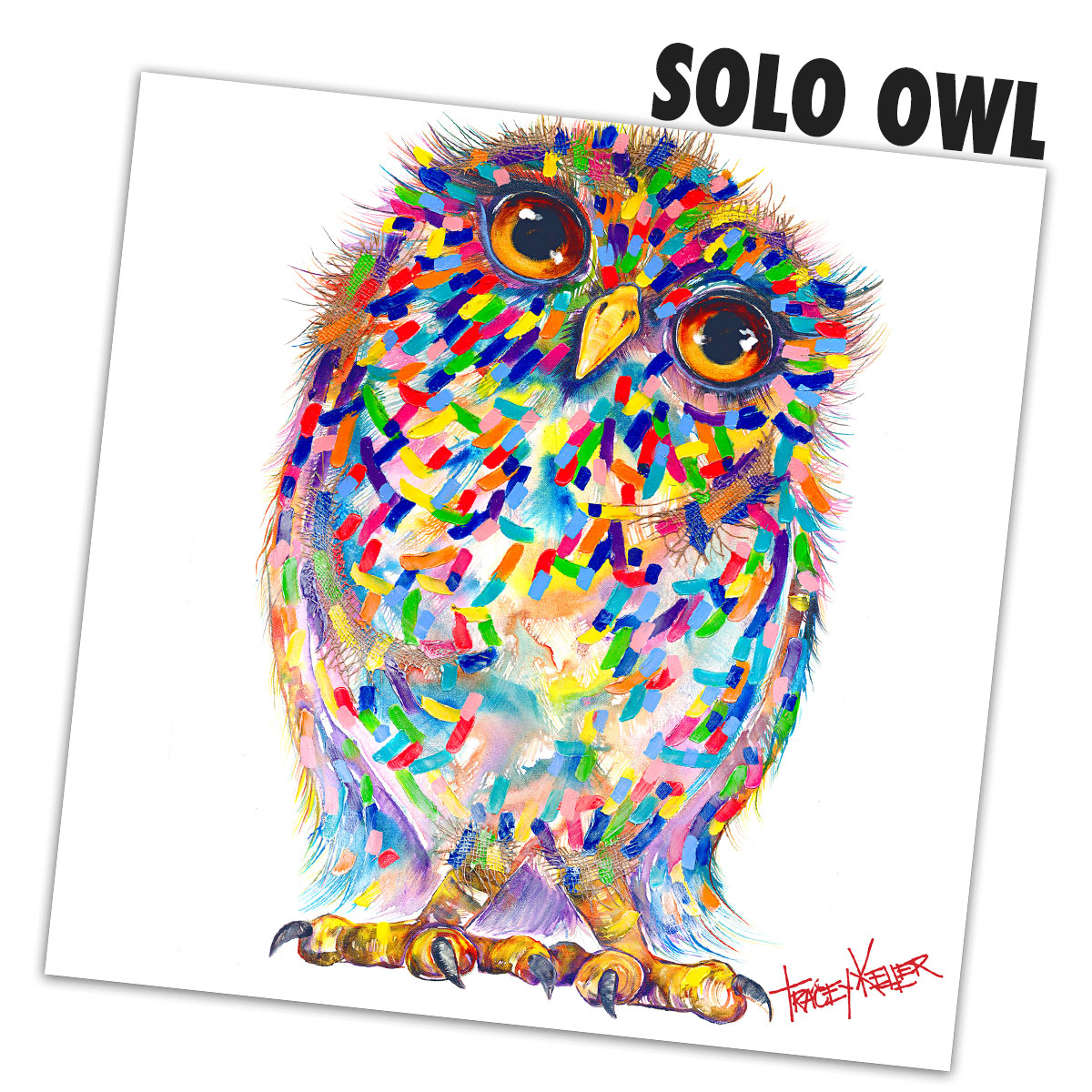 SOLO OWL 1
