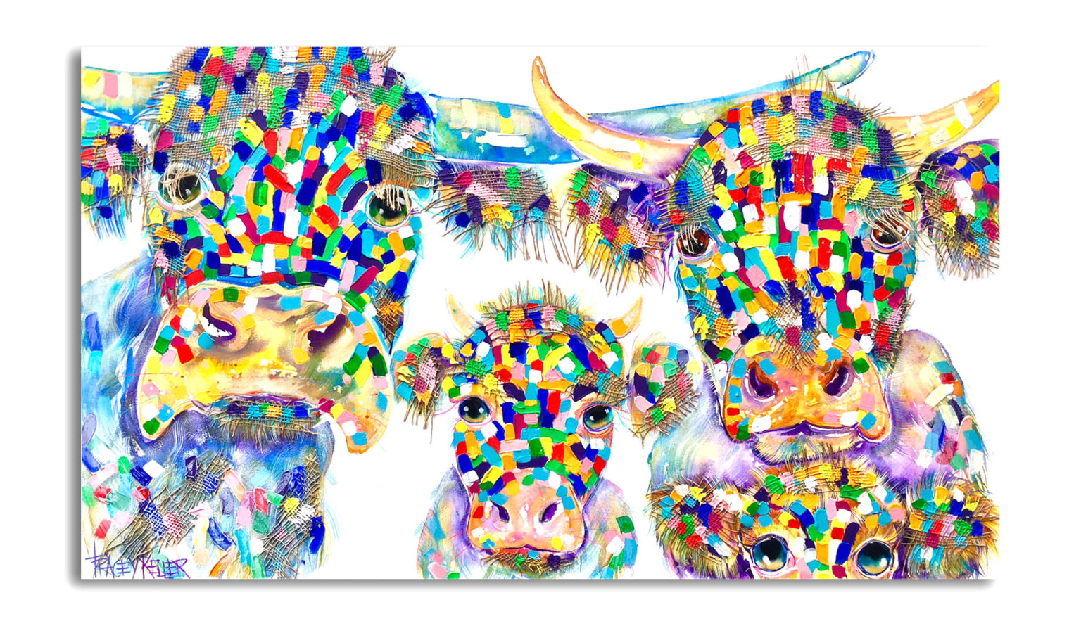 Tracey Keller Highland Cows 1 1536x890 1
