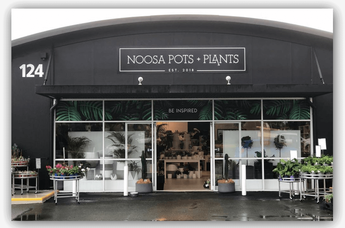 noosa pots and plants