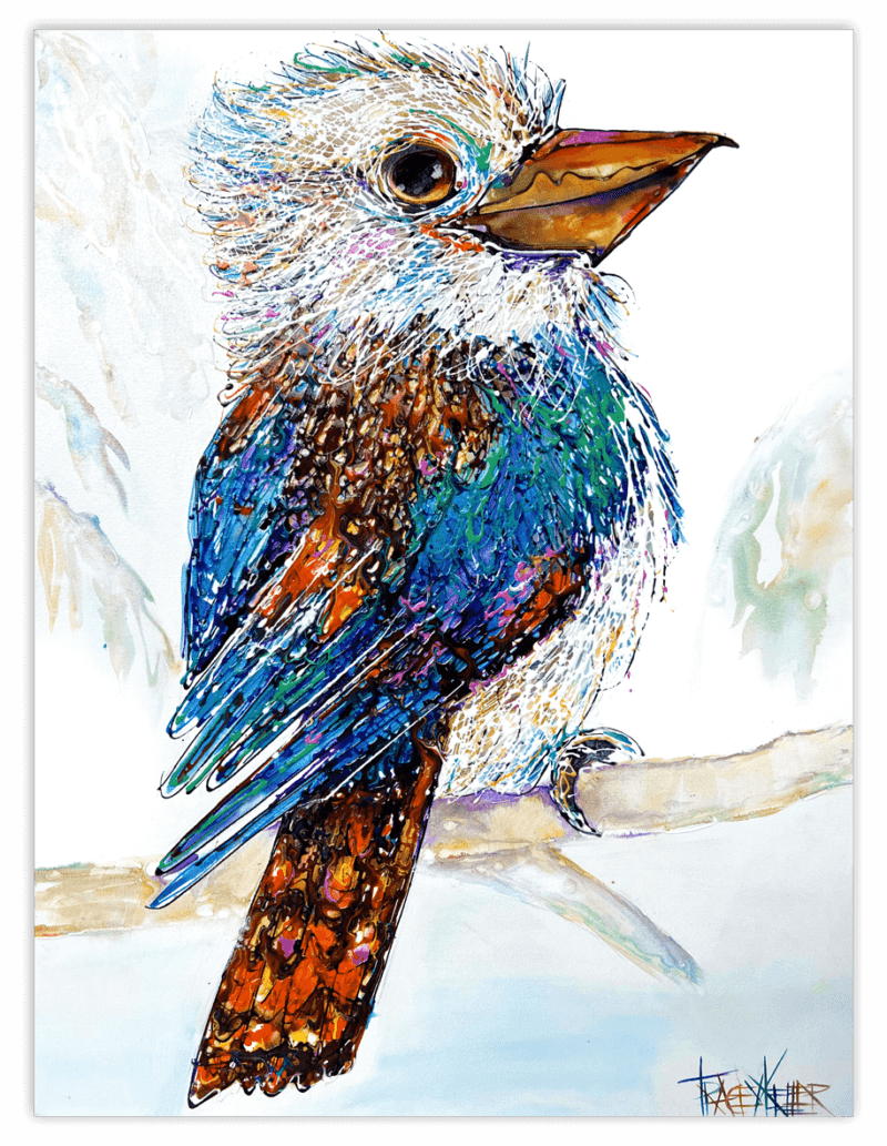 Gorgeous George | Kookaburra Painting
